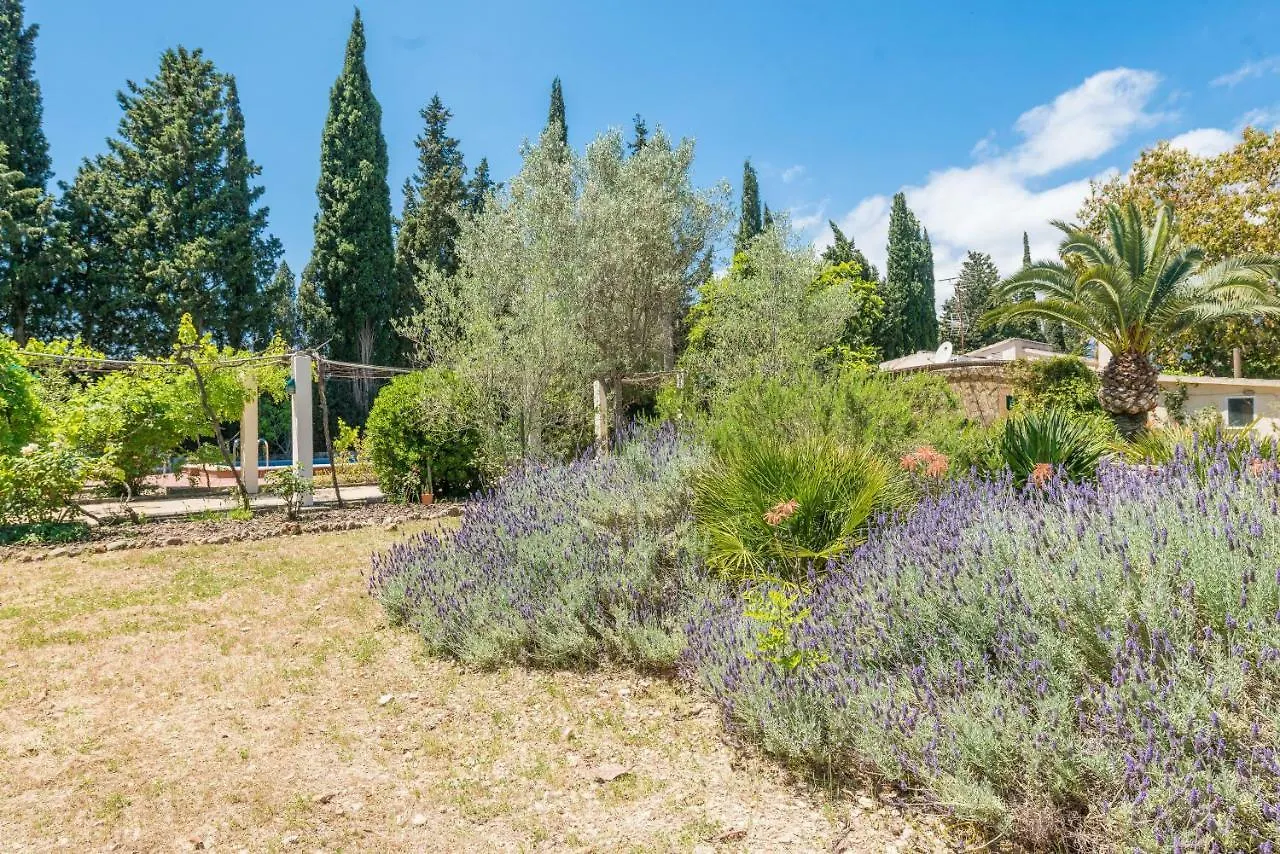 Villa Ca Na Sioneta