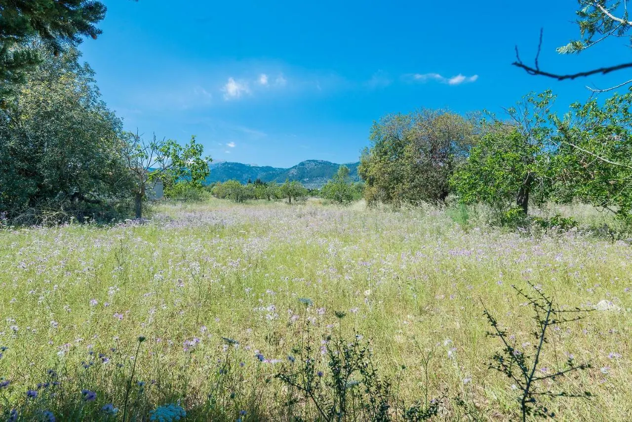 Villa Ca Na Sioneta