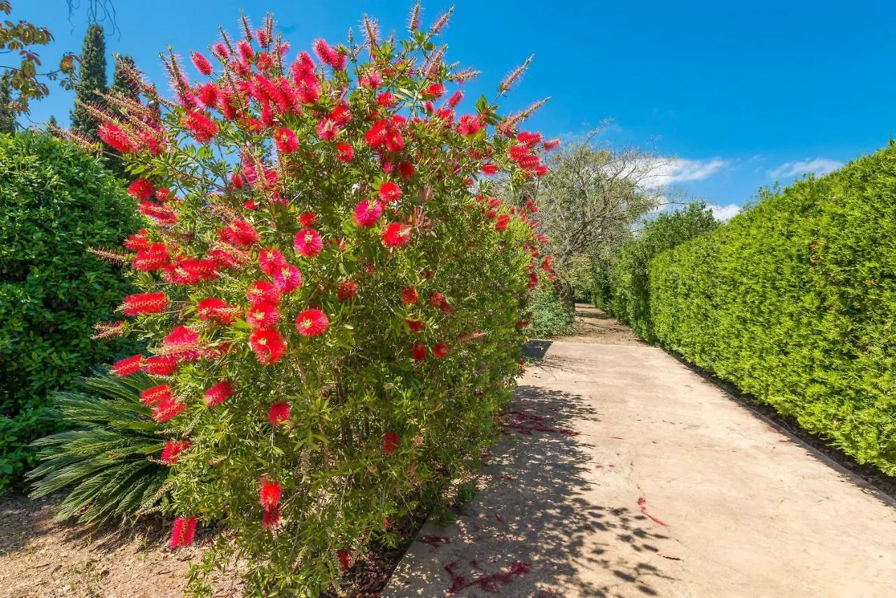 Ca Na Sioneta Villa